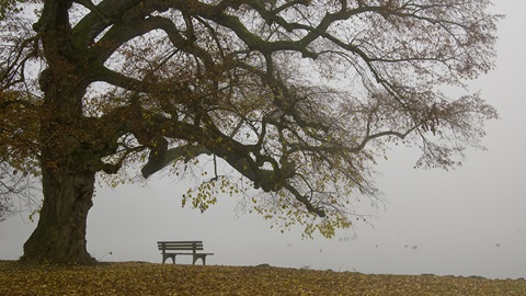 zelfmoord